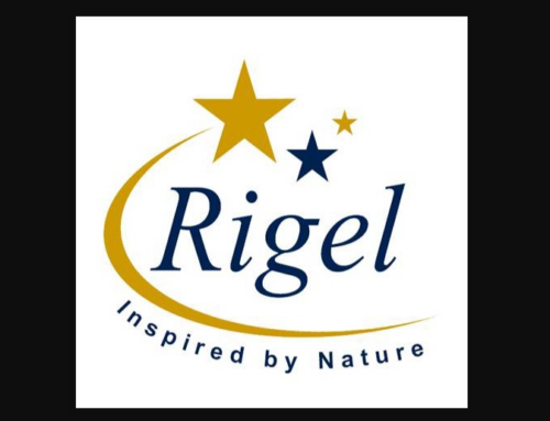 The Innovation Journey of Rigel Bioenviron Solutions Pvt Ltd