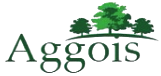 2. Aggois Business Solutions Pvt Ltd