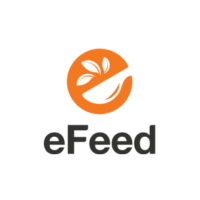 196203Shell-Pecten-1-200x200